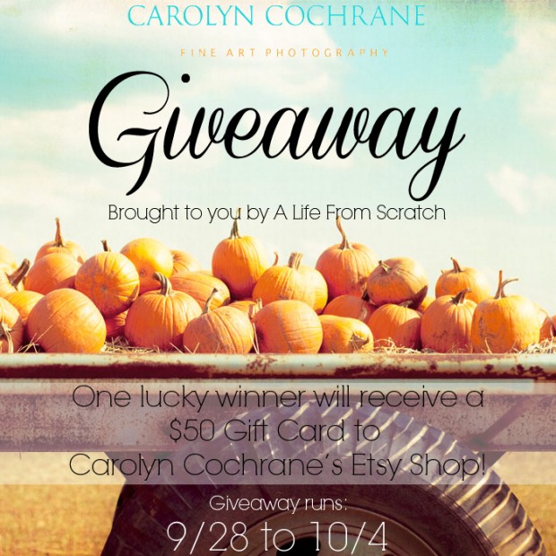 Carolyn Cochrane Giveaway